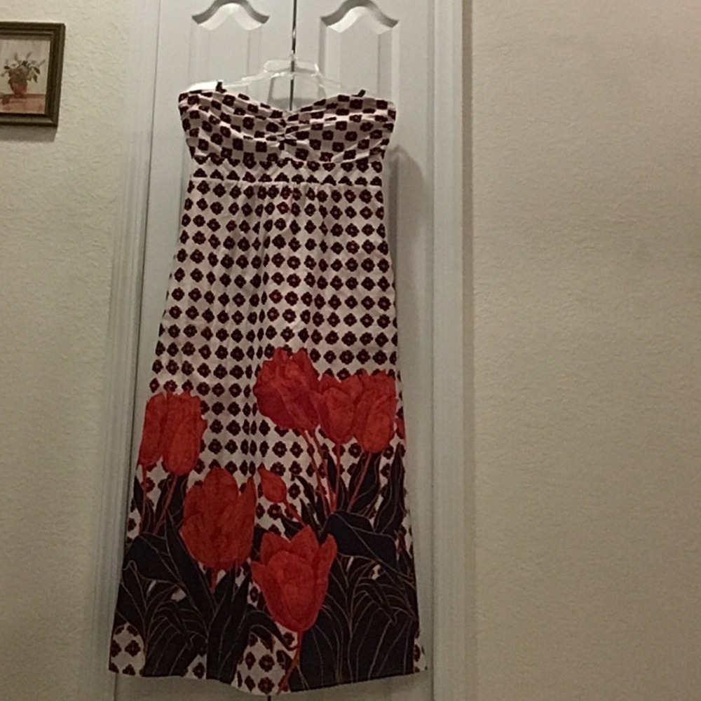 Anthropologie Maeve Tulip fields Dress